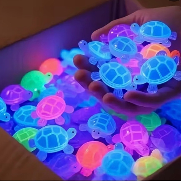 Colorful Turtle Toy Set - Picture 3 of 4